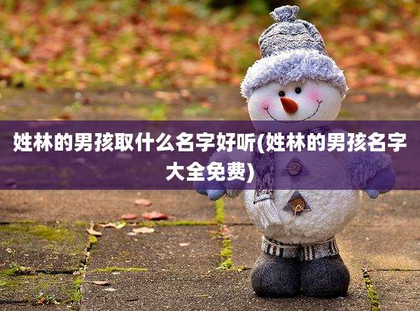 姓林的男孩取什么名字好听(姓林的男孩名字大全免费)