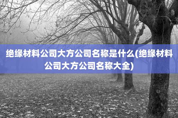 绝缘材料公司大方公司名称是什么(绝缘材料公司大方公司名称大全)