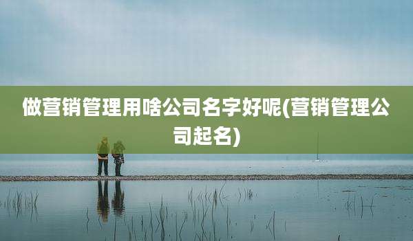做营销管理用啥公司名字好呢(营销管理公司起名)