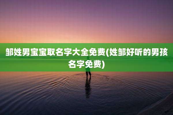 邹姓男宝宝取名字大全免费(姓邹好听的男孩名字免费)