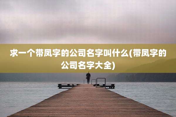 求一个带凤字的公司名字叫什么(带凤字的公司名字大全)