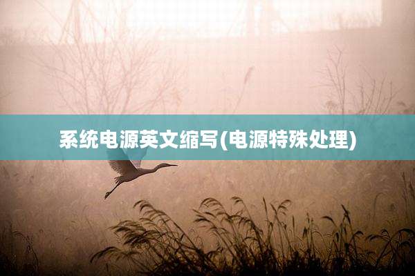 系统电源英文缩写(电源特殊处理)