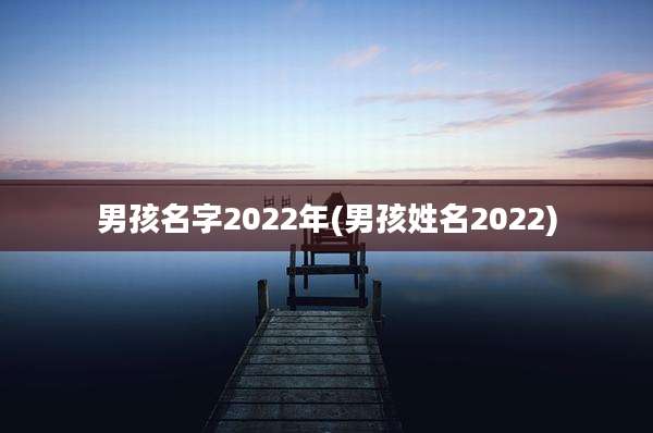 男孩名字2022年(男孩姓名2022)