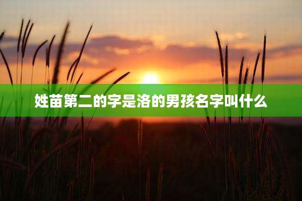 姓苗第二的字是洛的男孩名字叫什么