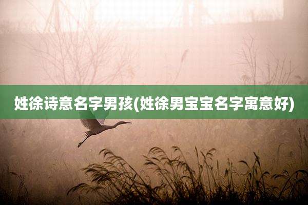 姓徐诗意名字男孩(姓徐男宝宝名字寓意好)