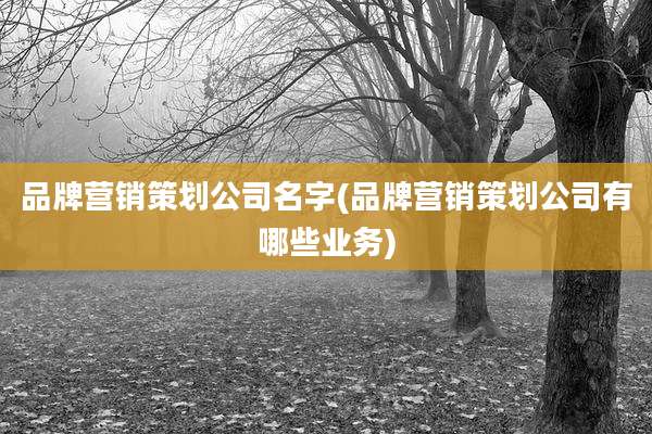 品牌营销策划公司名字(品牌营销策划公司有哪些业务)