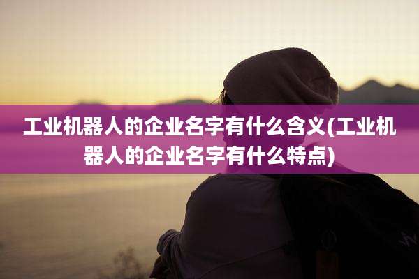 工业机器人的企业名字有什么含义(工业机器人的企业名字有什么特点)