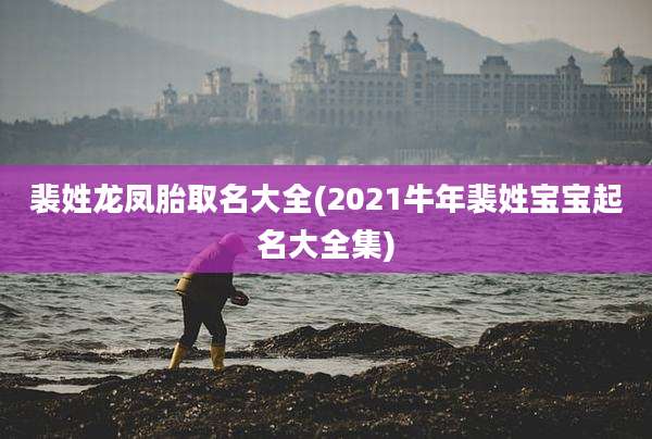 裴姓龙凤胎取名大全(2021牛年裴姓宝宝起名大全集)