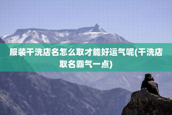 服装干洗店名怎么取才能好运气呢(干洗店取名霸气一点)