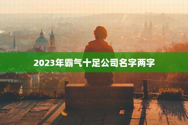 2023年霸气十足公司名字两字