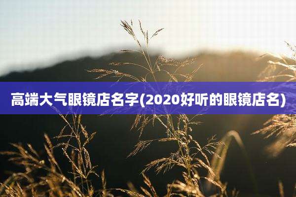 高端大气眼镜店名字(2020好听的眼镜店名)