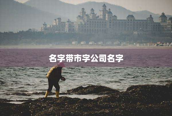 名字带市字公司名字