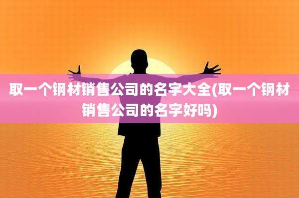 取一个钢材销售公司的名字大全(取一个钢材销售公司的名字好吗)