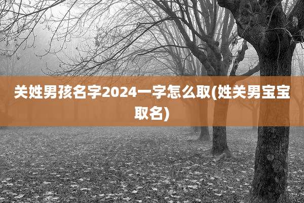 关姓男孩名字2024一字怎么取(姓关男宝宝取名)