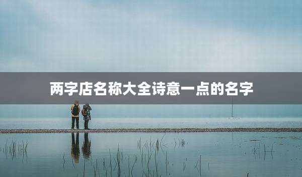 两字店名称大全诗意一点的名字