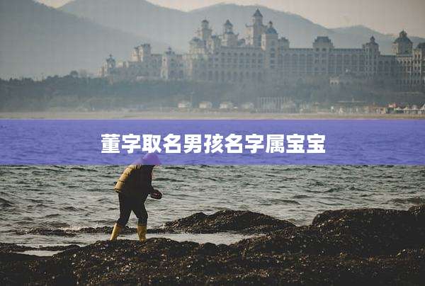 董字取名男孩名字属宝宝