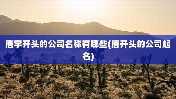 唐字开头的公司名称有哪些(唐开头的公司起名)