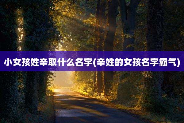小女孩姓辛取什么名字(辛姓的女孩名字霸气)