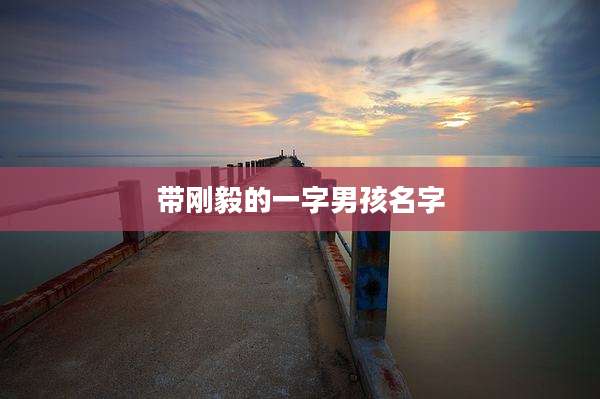 带刚毅的一字男孩名字