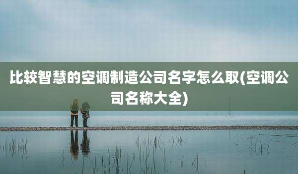 比较智慧的空调制造公司名字怎么取(空调公司名称大全)