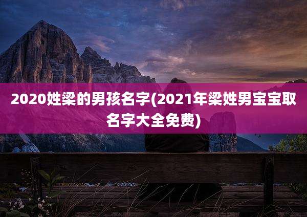 2020姓梁的男孩名字(2021年梁姓男宝宝取名字大全免费)