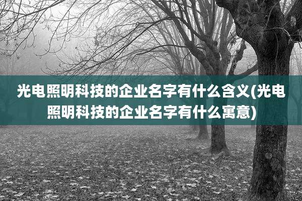 光电照明科技的企业名字有什么含义(光电照明科技的企业名字有什么寓意)