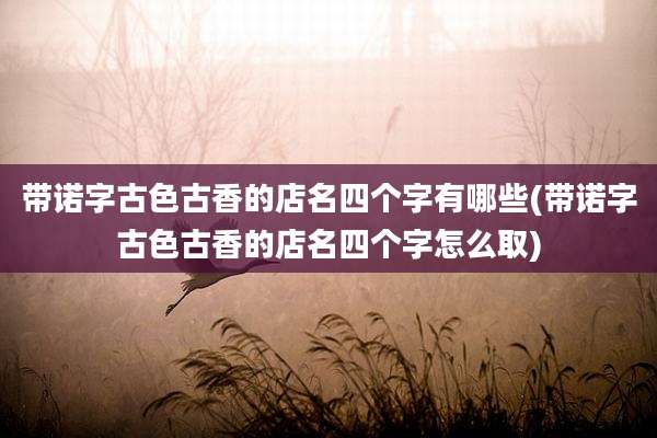 带诺字古色古香的店名四个字有哪些(带诺字古色古香的店名四个字怎么取)