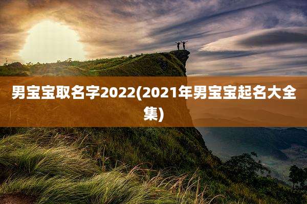 男宝宝取名字2022(2021年男宝宝起名大全集)