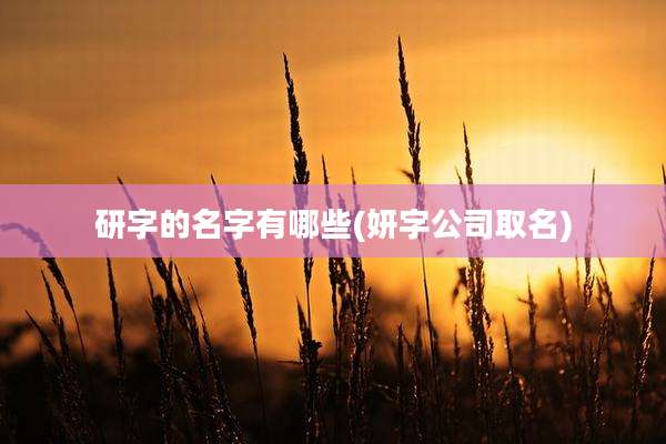 研字的名字有哪些(妍字公司取名)