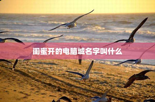 闺蜜开的电脑城名字叫什么