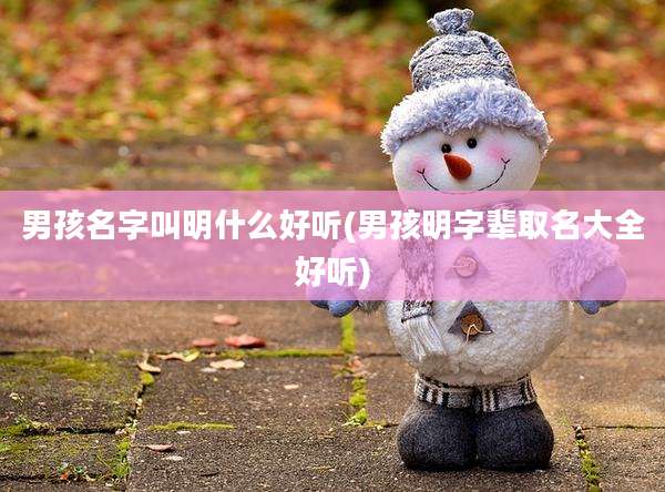 男孩名字叫明什么好听(男孩明字辈取名大全好听)
