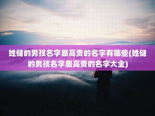 姓储的男孩名字最高贵的名字有哪些(姓储的男孩名字最高贵的名字大全)