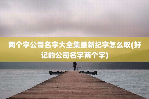 两个字公司名字大全集最新纪字怎么取(好记的公司名字两个字)