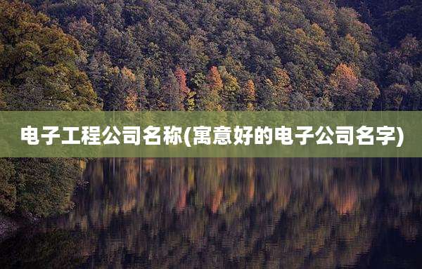 电子工程公司名称(寓意好的电子公司名字)