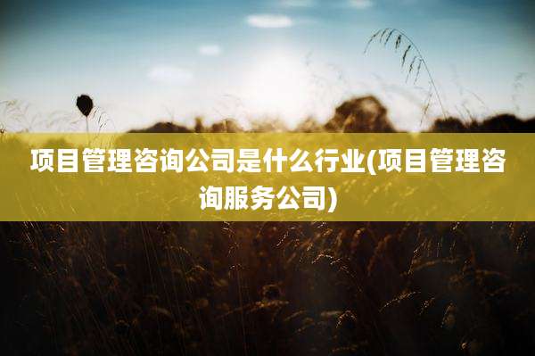 项目管理咨询公司是什么行业(项目管理咨询服务公司)