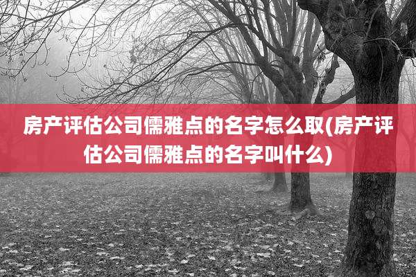 房产评估公司儒雅点的名字怎么取(房产评估公司儒雅点的名字叫什么)