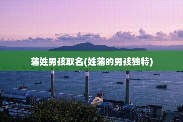 蒲姓男孩取名(姓蒲的男孩独特)