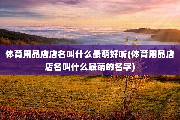 体育用品店店名叫什么最萌好听(体育用品店店名叫什么最萌的名字)