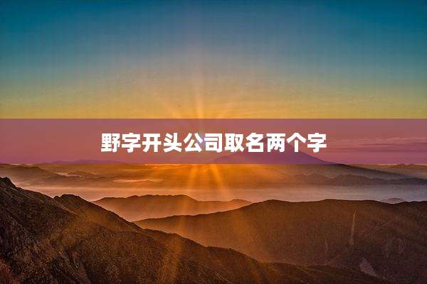 野字开头公司取名两个字