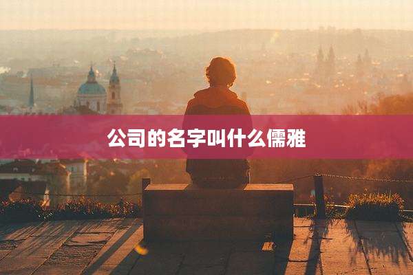 公司的名字叫什么儒雅