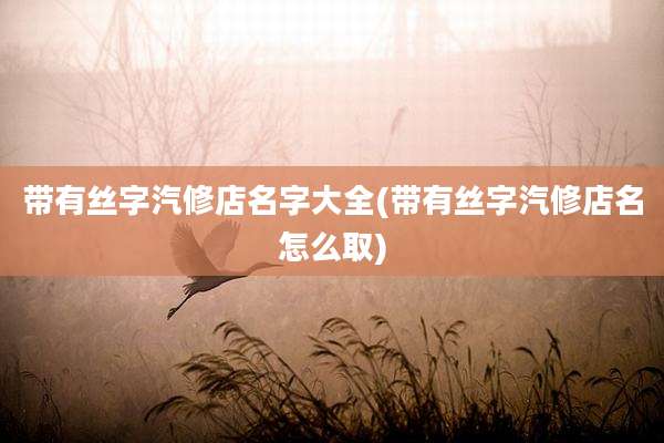 带有丝字汽修店名字大全(带有丝字汽修店名怎么取)