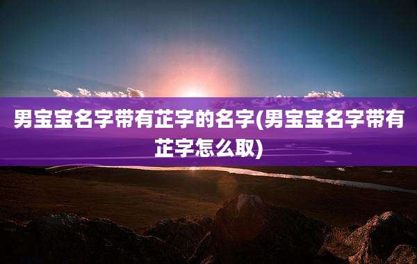 男宝宝名字带有芷字的名字(男宝宝名字带有芷字怎么取)