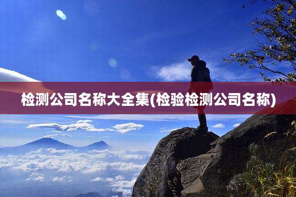 检测公司名称大全集(检验检测公司名称)