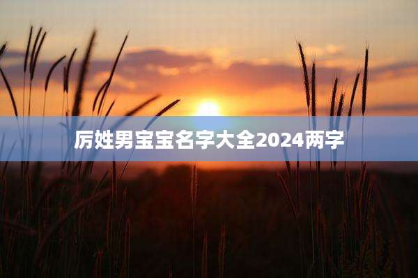 厉姓男宝宝名字大全2024两字