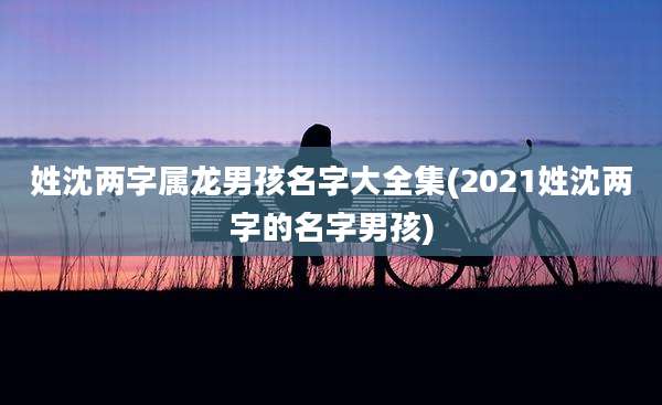 姓沈两字属龙男孩名字大全集(2021姓沈两字的名字男孩)