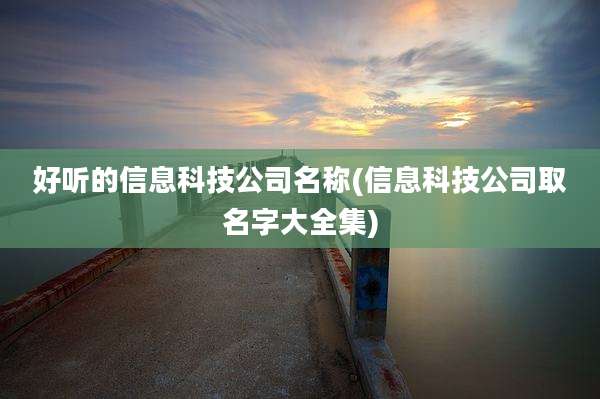 好听的信息科技公司名称(信息科技公司取名字大全集)
