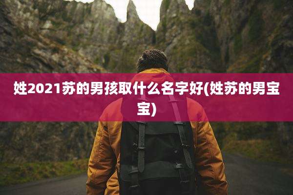 姓2021苏的男孩取什么名字好(姓苏的男宝宝)