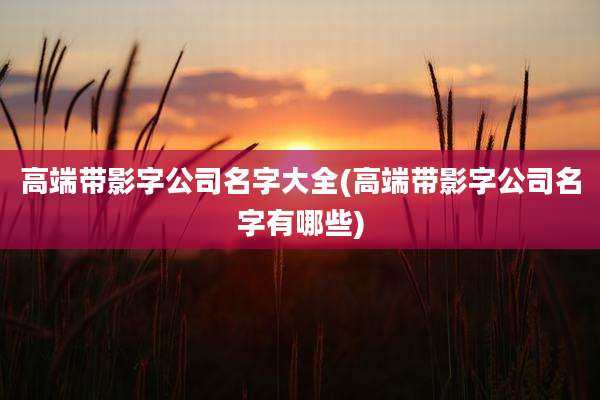 高端带影字公司名字大全(高端带影字公司名字有哪些)