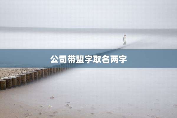 公司带盟字取名两字