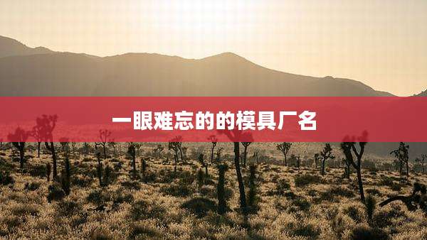 一眼难忘的的模具厂名